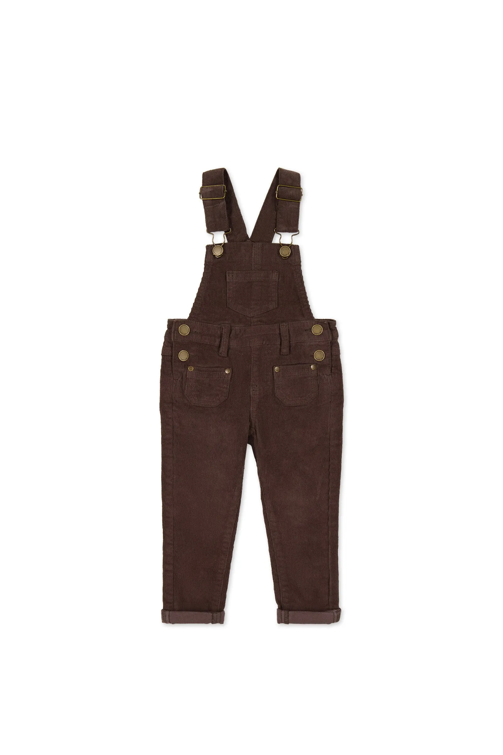 Arlo Overall - Pinecone