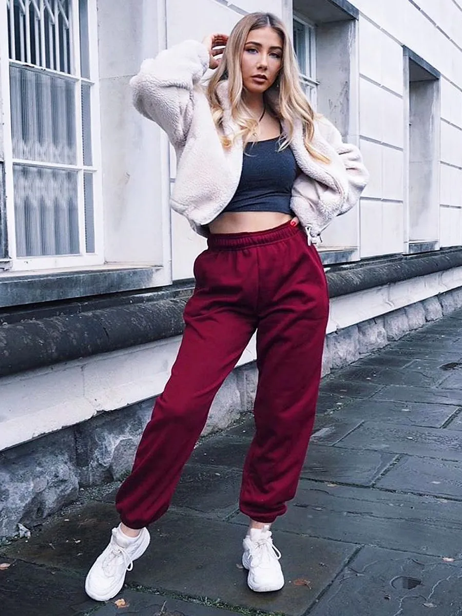 Barbara Oversized Fleece Joggers In Wine