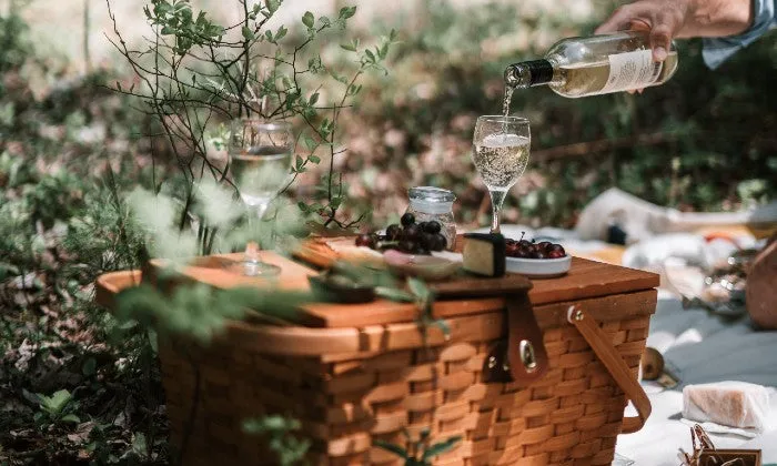 Couples Spa Experience with Picnic & Wine Tasting at Lourensford Wine Estate
