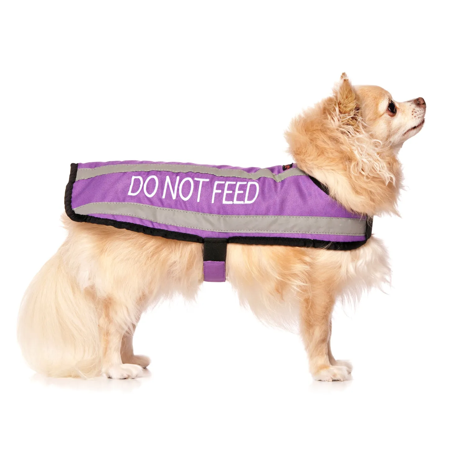 DO NOT FEED - Small Coat