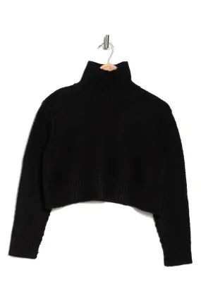 ELODIE Mockneck Crop Sweater