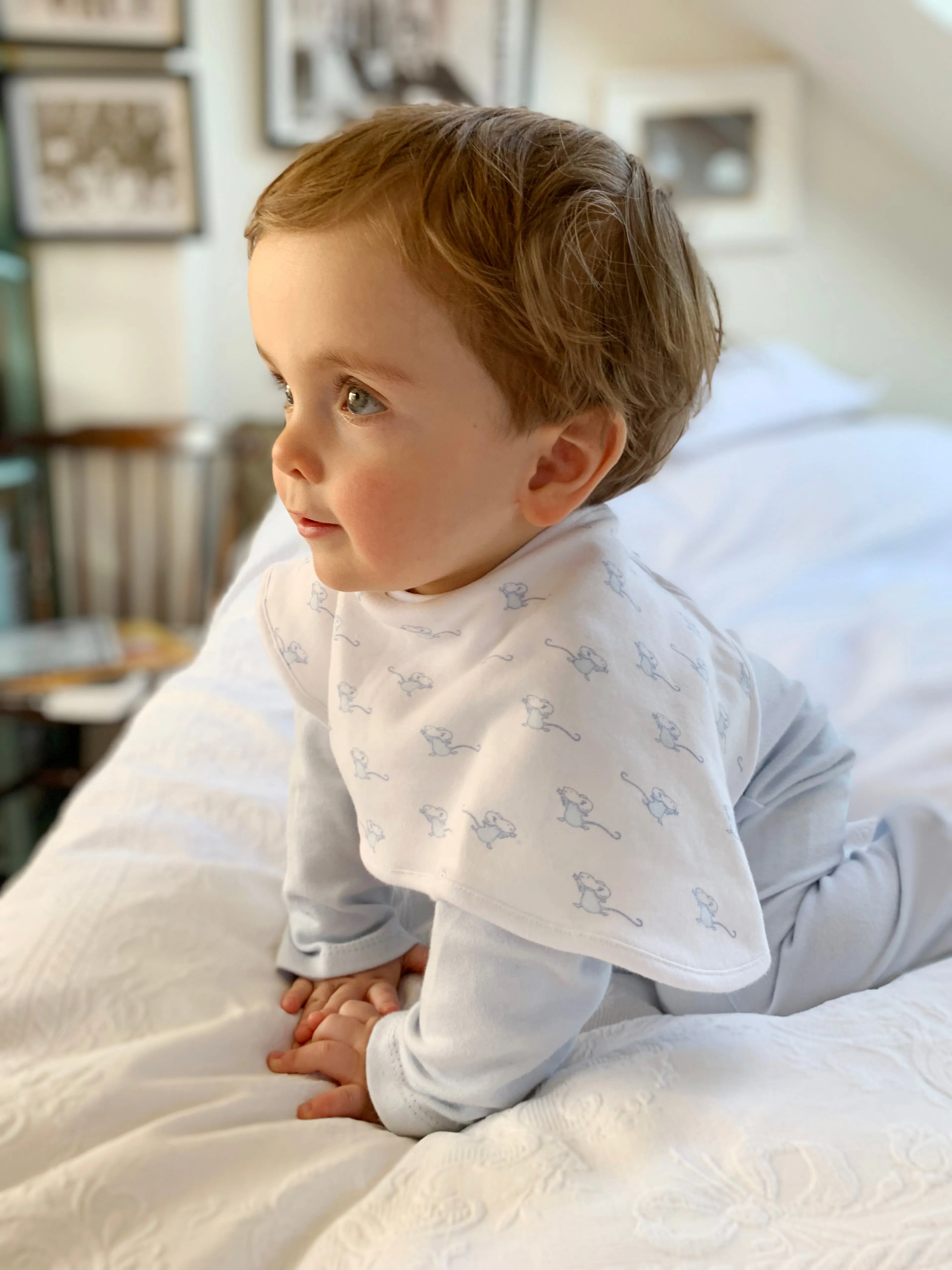 Mouse Onesie and Bib Set