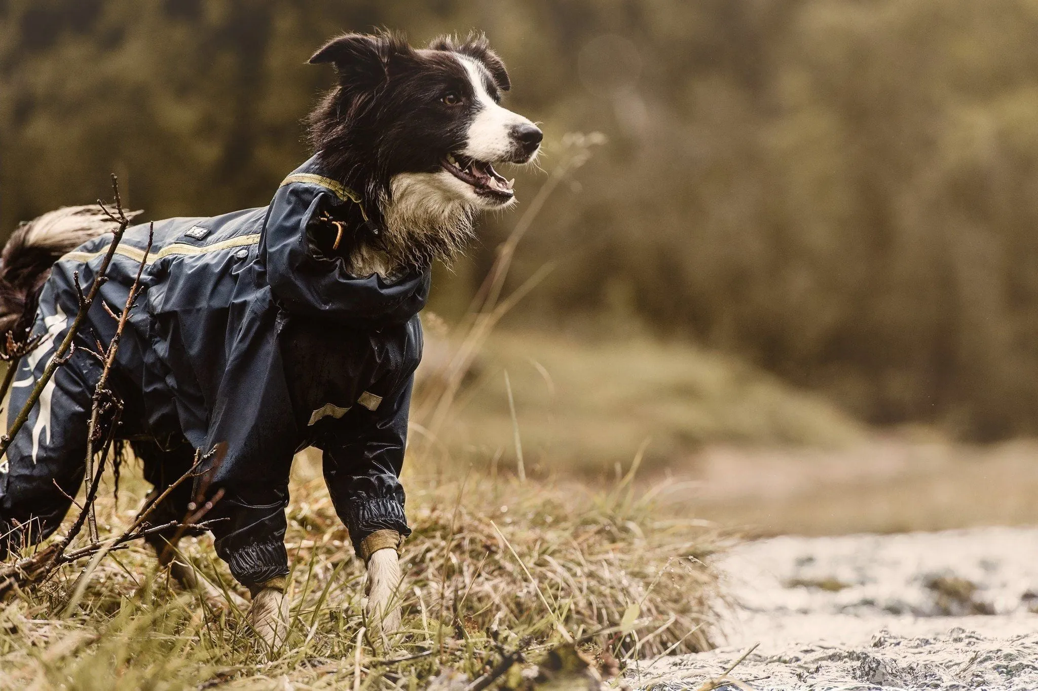 Slush & Mud Protector Dog Overall