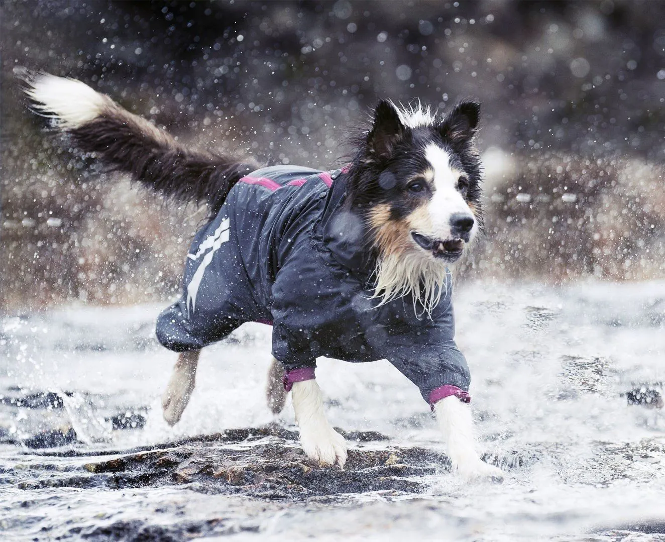 Slush & Mud Protector Dog Overall