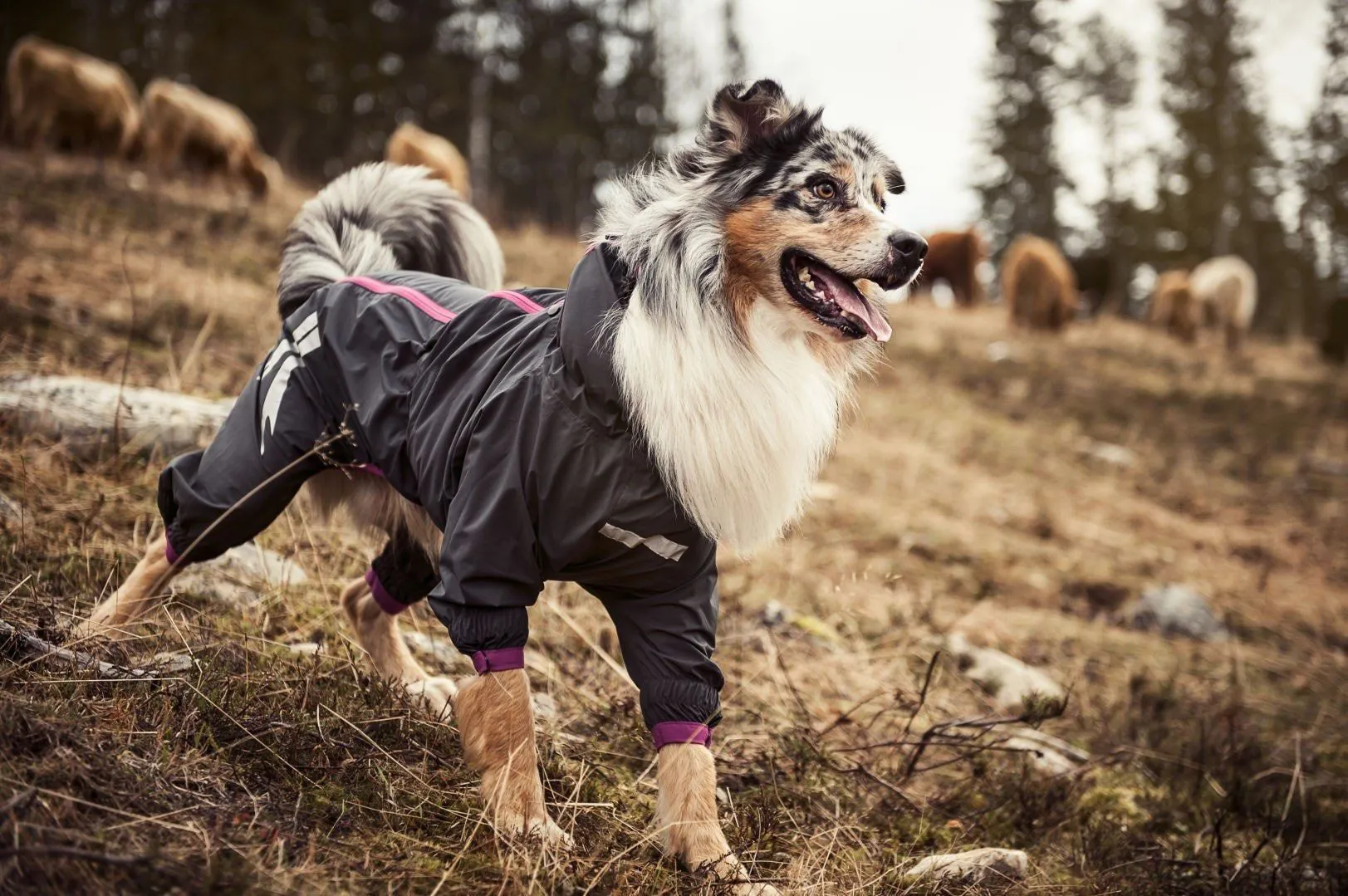 Slush & Mud Protector Dog Overall