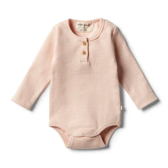 Wilson & Frenchy | Organic Desert Flower Baby Bodysuit